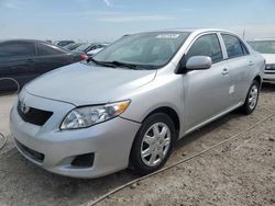 Toyota salvage cars for sale: 2010 Toyota Corolla Base