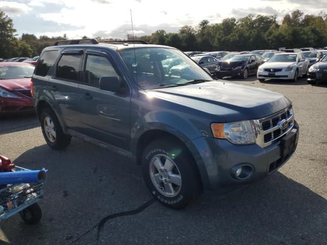 2011 Ford Escape XLT