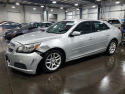 Salvage cars for sale at Ham Lake, MN auction: 2013 Chevrolet Malibu 1LT