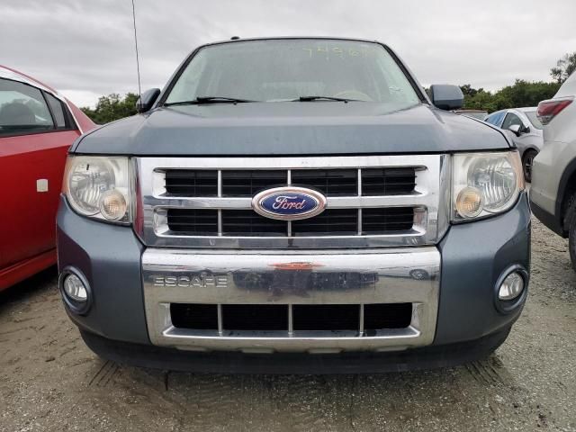 2011 Ford Escape Limited