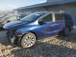 Salvage cars for sale at Magna, UT auction: 2022 Honda Odyssey EXL