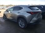 2025 Lexus NX 350H Base