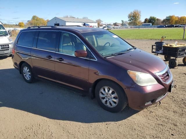 2008 Honda Odyssey EXL