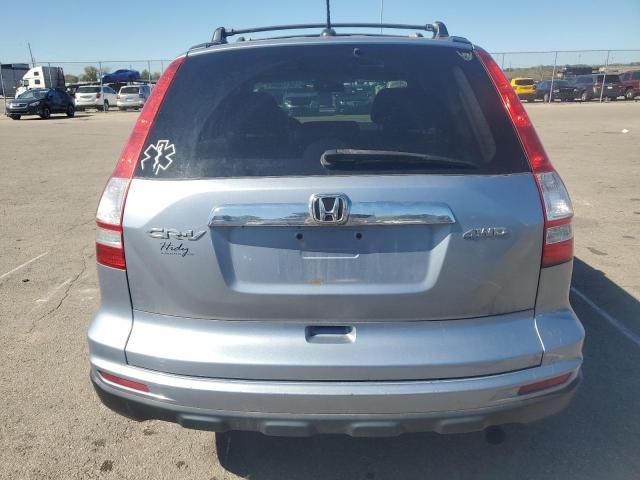 2010 Honda CR-V EXL