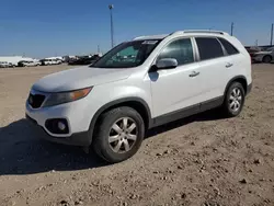 KIA salvage cars for sale: 2011 KIA Sorento Base