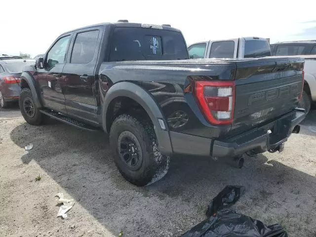 2023 Ford F150 Raptor