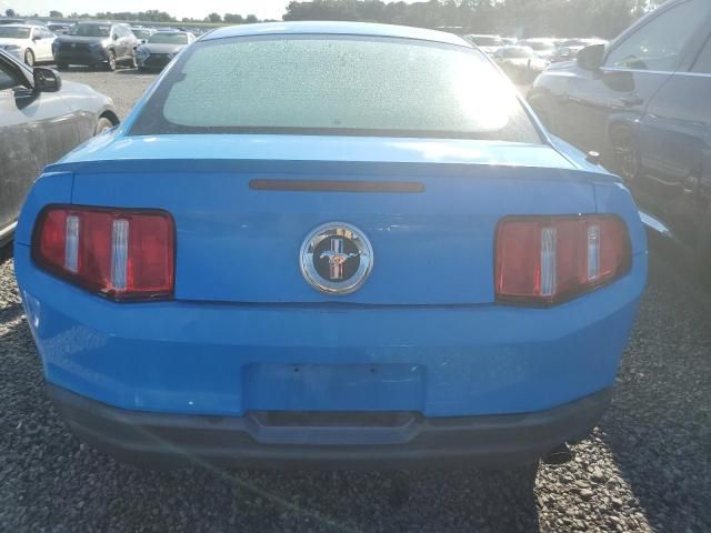 2010 Ford Mustang