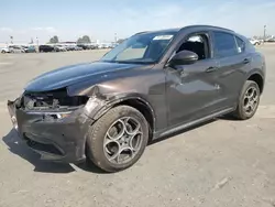 Alfa Romeo Stelvio salvage cars for sale: 2019 Alfa Romeo Stelvio