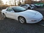 1997 Pontiac Firebird