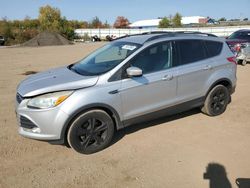 Salvage cars for sale at Columbia Station, OH auction: 2013 Ford Escape SE