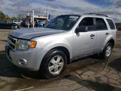 Ford Vehiculos salvage en venta: 2012 Ford Escape XLT