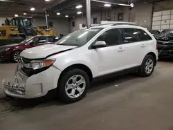 2013 Ford Edge SEL en venta en Blaine, MN