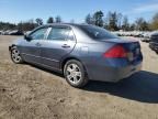 2006 Honda Accord SE