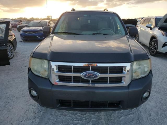 2008 Ford Escape XLT