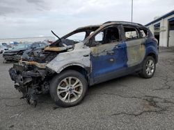 Salvage cars for sale at Pasco, WA auction: 2018 Ford Escape SE