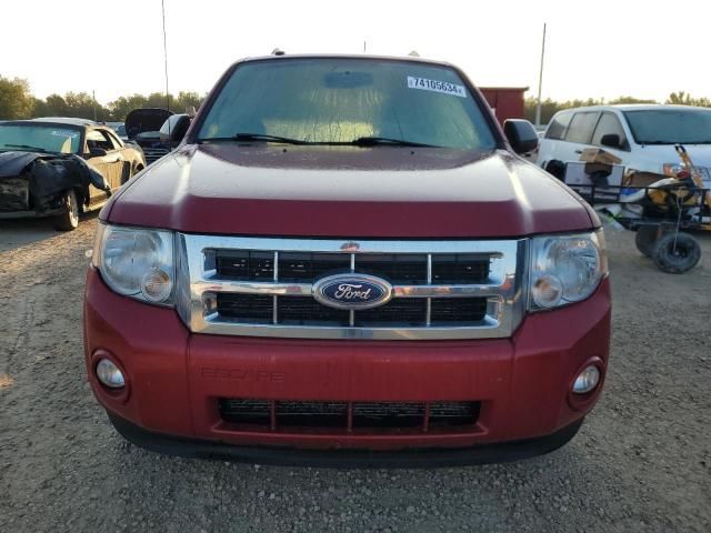 2011 Ford Escape XLT