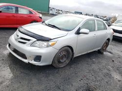 Toyota Corolla salvage cars for sale: 2013 Toyota Corolla Base