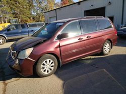 Salvage cars for sale at Ham Lake, MN auction: 2010 Honda Odyssey EX