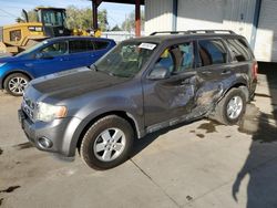 Salvage cars for sale at Billings, MT auction: 2011 Ford Escape XLT