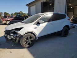 Salvage cars for sale at Columbia, MO auction: 2014 Ford Escape SE