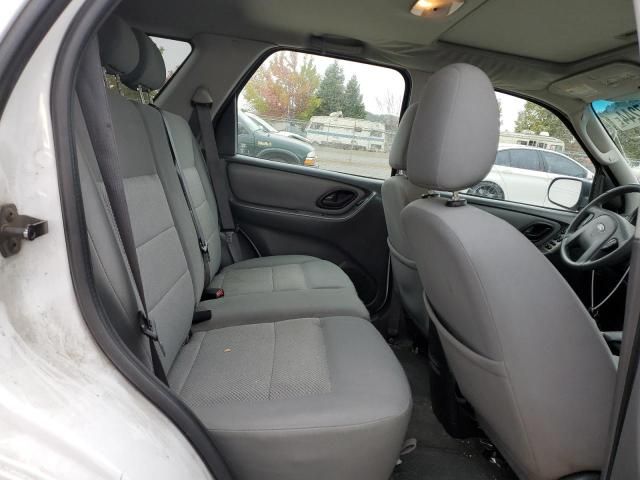 2007 Ford Escape XLT