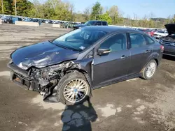 Ford salvage cars for sale: 2013 Ford Focus SE