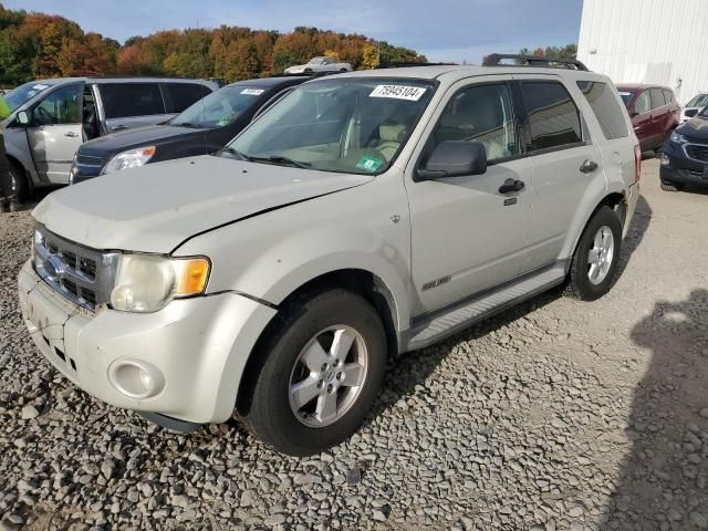 2008 Ford Escape XLT