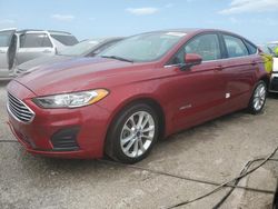 Salvage cars for sale at Riverview, FL auction: 2019 Ford Fusion SE