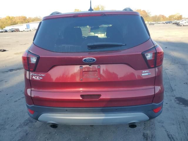 2019 Ford Escape SEL