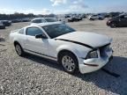 2006 Ford Mustang