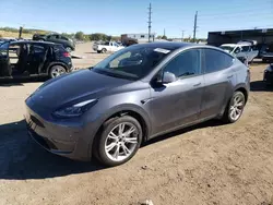 Salvage cars for sale at Colorado Springs, CO auction: 2024 Tesla Model Y