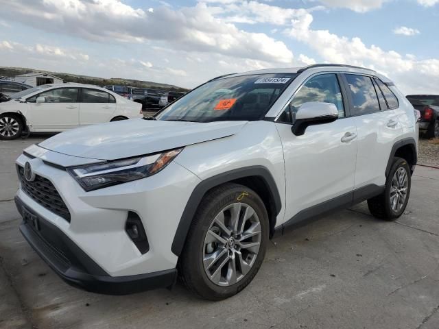 2023 Toyota Rav4 XLE Premium