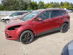 Salvage cars for sale at Eldridge, IA auction: 2014 Ford Escape Titanium