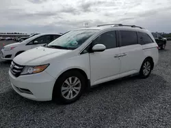 Carros dañados por inundaciones a la venta en subasta: 2016 Honda Odyssey EX