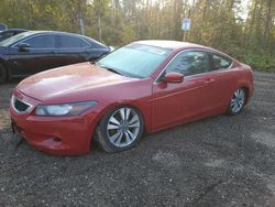 Honda salvage cars for sale: 2008 Honda Accord EXL