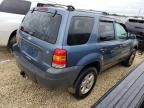 2006 Ford Escape XLT