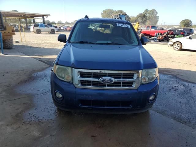 2008 Ford Escape XLT