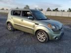 2012 KIA Soul +