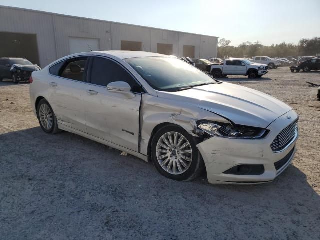 2014 Ford Fusion SE Hybrid