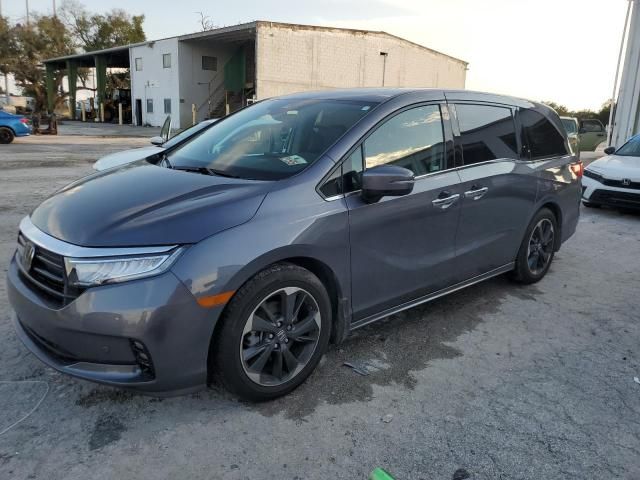 2024 Honda Odyssey Elite