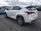 2021 Lexus NX 300H Base