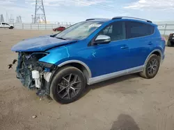 Salvage cars for sale at Adelanto, CA auction: 2016 Toyota Rav4 SE