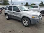 2005 Ford Escape XLT