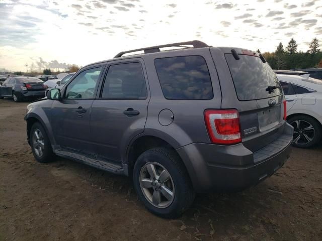 2009 Ford Escape XLT