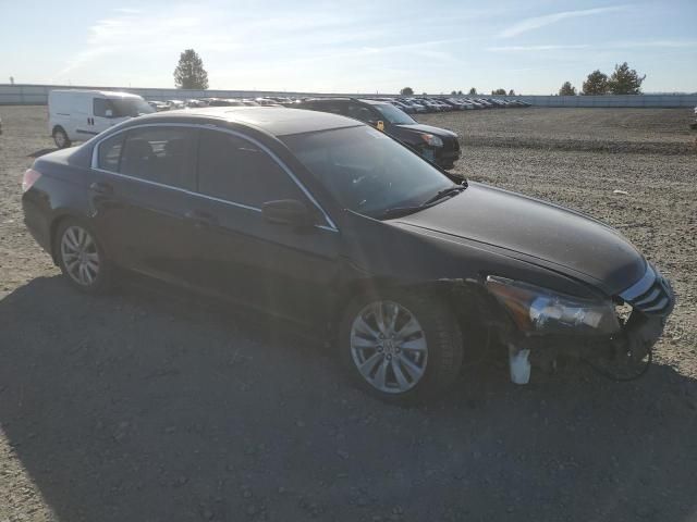 2012 Honda Accord EXL