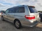 2006 Honda Odyssey EXL