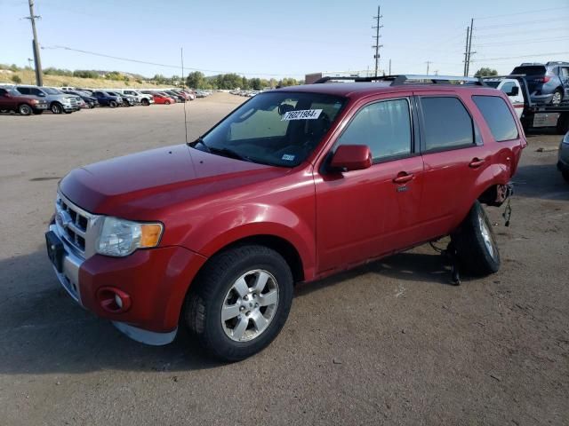 2011 Ford Escape Limited