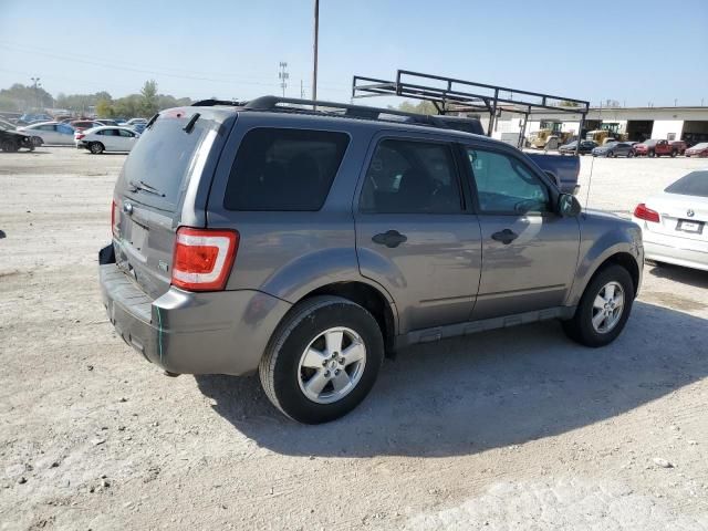 2011 Ford Escape XLT