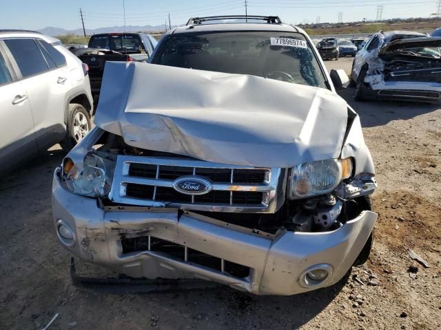 2009 Ford Escape XLT