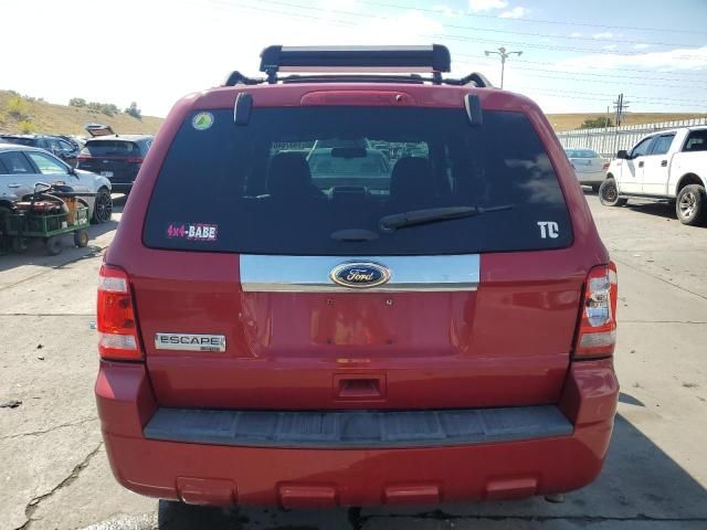 2011 Ford Escape Limited